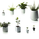 Plantes et pots publicitaire personnalisés avec logo pour entreprise et communication écologique