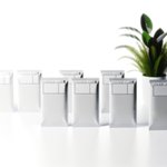 Plante publicitaire personnalisée avec logo pour entreprise et communication écologique