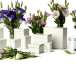 Fleurs publicitaire personnalisées avec logo pour entreprise et communication professionnelle