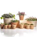 Pots de fleurs publicitaire personnalisés avec logo pour entreprise et communication écologique