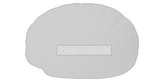 Anti-stress en forme de cerveau en PU Bayre - Impression Bas