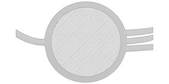 Port USB 2.0 multi chargeur Polypod - Marquage Verso