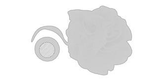 Fleur de douche en PET douce Paroka - Marquage Recto