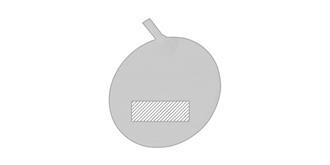 Lampe Multifonction en bambou Larsen - Impression Bas