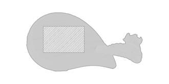 Brosse Nettoyante du Visage en bois Tospet - Marquage Recto