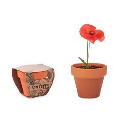OBG PUB - Pot en terre cuite avec graines de coquelicot Popy