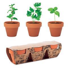 OBG PUB - Lot de 3 pots en terre avec graines Potts
