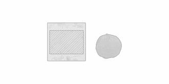 Kit de culture de graines en boule Bombi - Marquage Recto