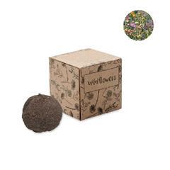 OBG PUB - Kit de culture de graines en boule Bombi