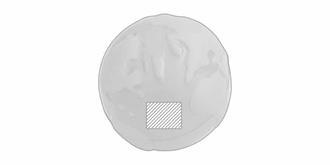 Balle anti-stress en forme de globe Earthing - Marquage Recto