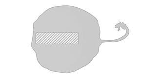 Sac pliable coton biologique résistant 7kg Lipux - Impression Haut