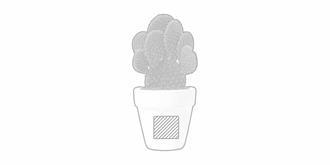 Pot de Fleurs en terre cuite avec graines Flora - Marquage Verso