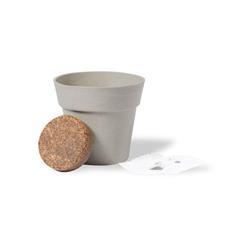 OBG PUB - Pot de fleurs avec graines de tournesol Maldox