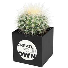 OBG PUB - Pot en aluminium avec cactus Nirvanah