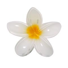 OBG PUB - Pince à cheveux design original en forme fleur Roz