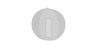 Ballon de plage gonflable en PVC Cruisy - Marquage Recto