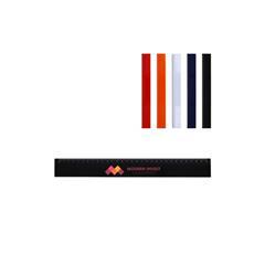 OBG PUB - Règle en plastique PS durable et précise 30cm Floo