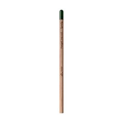 Crayon Ensemencé en Bois Sproutworld Simora