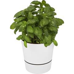 Pot de cuisine simple en mélamine durable Herbis