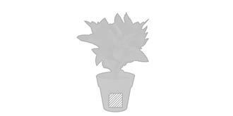 Set pot de fleurs en matière biodégradable Nortel - Marquage Recto