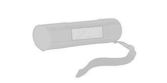 Lampe de poche pratique en aluminium Ponny - Marquage Recto
