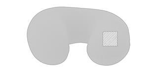 Coussin en polyester avec une qualité doux Condors - Impression Droite