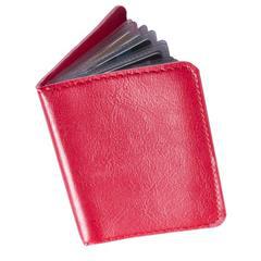 Porte-cartes en similicuir brillant Tulvaro