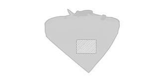 Collier Bandana pour animal en polyester Rosco - Marquage Recto