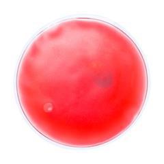 OBG PUB - Chaufferette avec plastique transparente Carye