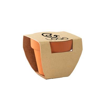 OBG.PUB - Pot en terre cuite avec graines de menthe Mica Pot en terre cuite avec graines de menthe Mica